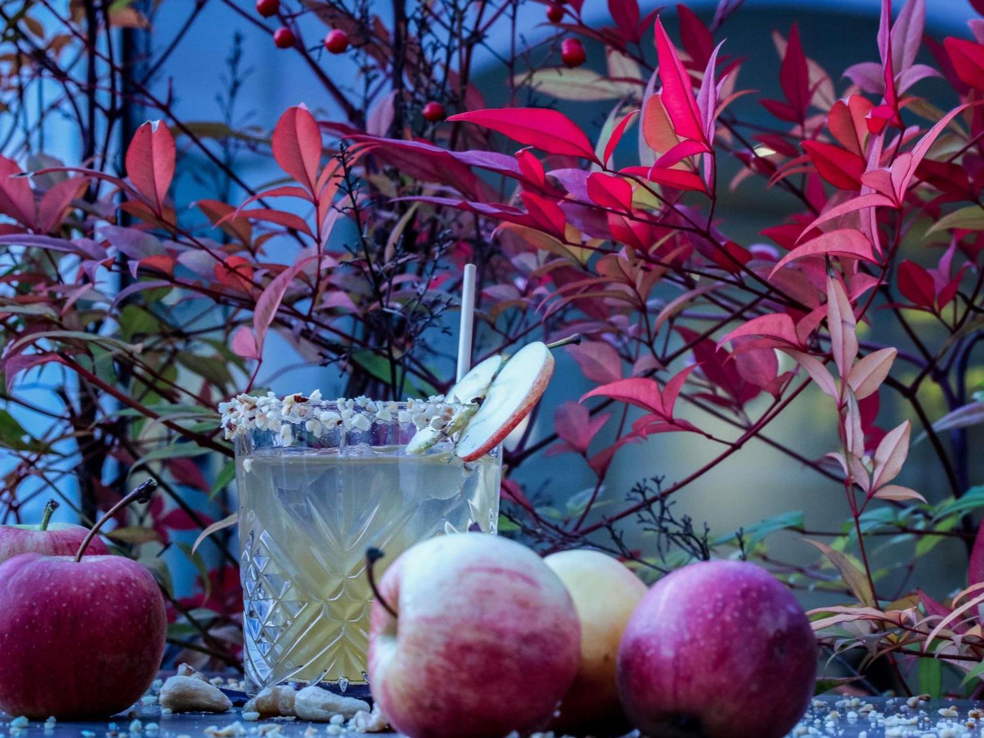 Mercure Aix-Les-Bains Domaine De Marlioz Hotel & Spa Ngoại thất bức ảnh